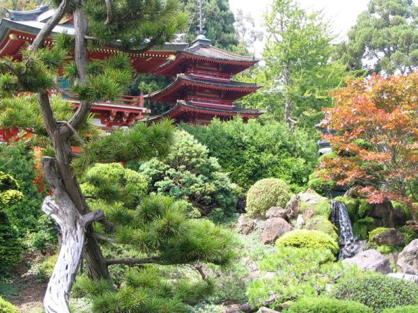 Khu vườn phong cách Nhật Bản