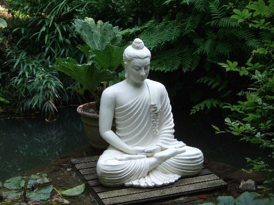 Vườn Thiền là khu vực lý tưởng để bài trí tượng Phật